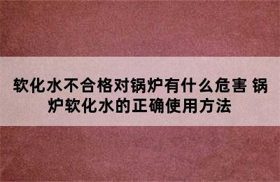 软化水不合格对锅炉有什么危害 锅炉软化水的正确使用方法